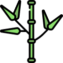 Bamboo